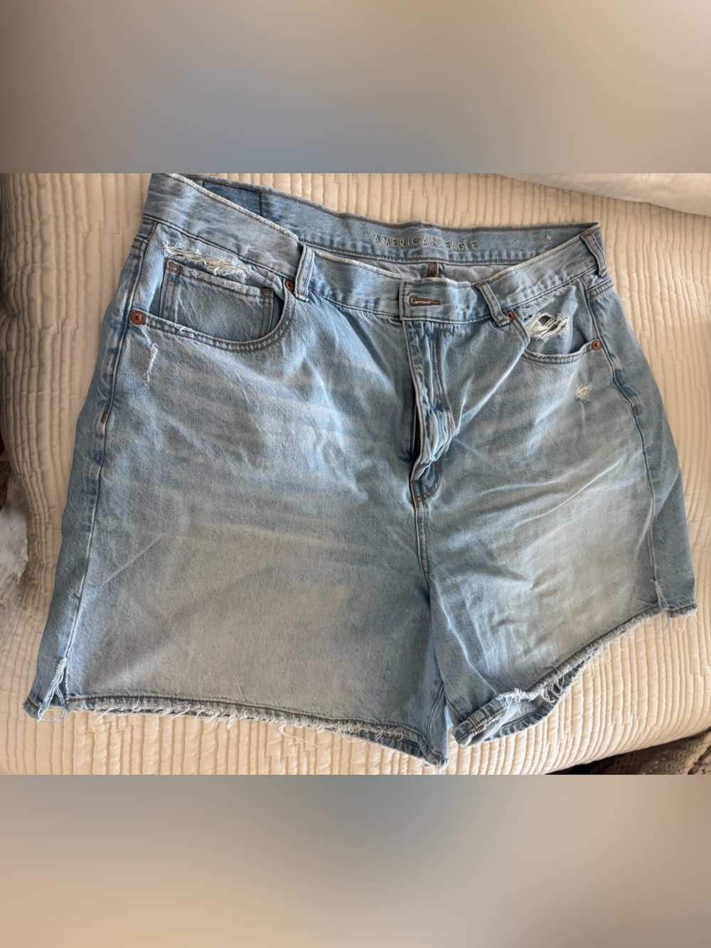 American Eagle Outfitters Light Blue Men's Denim Shorts